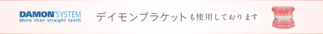 デイモンブラケットも使用しております